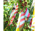 10Pcs Bird Repellent Ribbon Double Side Tape - Silver&Red